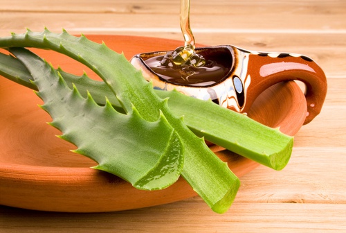 Aloe vera e miele