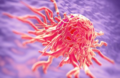 Prevenzione e cura del cancro: alcune efficaci erbe