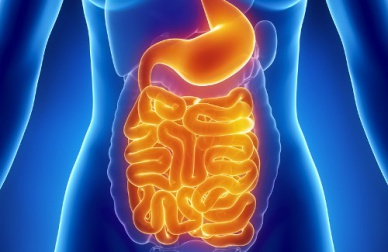 Ripristinare la flora intestinale, ecco i cibi più efficaci