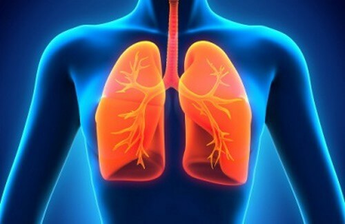Come pulire i polmoni in modo naturale