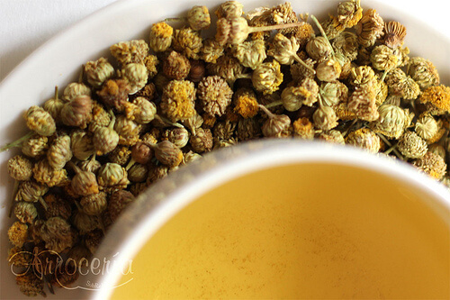 Infuso di camomilla