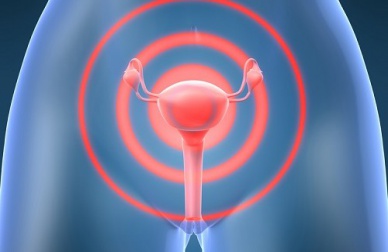 Combattere il cancro all'utero con l'aiuto della natura