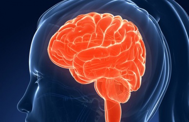 Alimenti che danneggiano la memoria e l'intelligenza