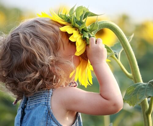 bambino con girasole