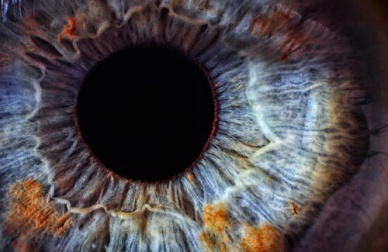 Scoprite il vostro stato di salute attraverso gli occhi