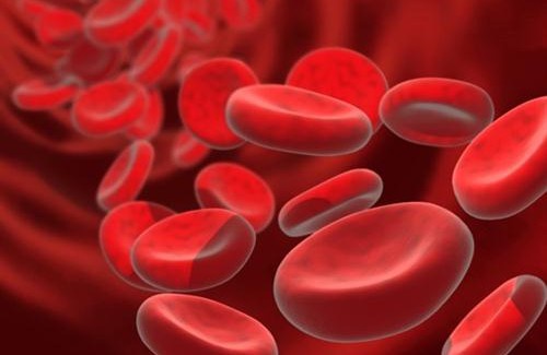 10 facili soluzioni per l'anemia