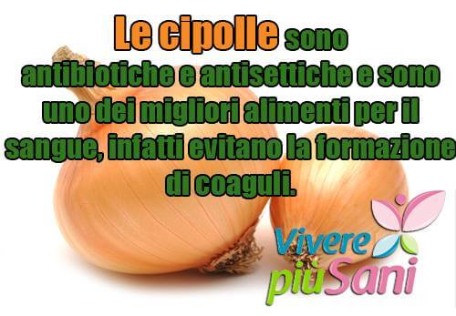 cipolla proprietà