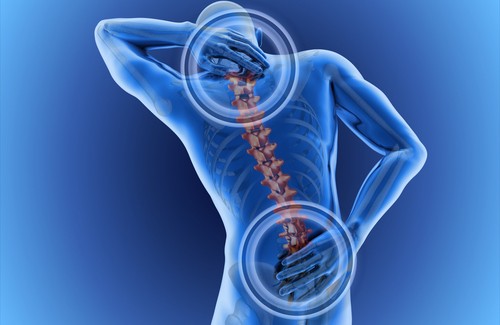 Prevenire e curare il mal di schiena
