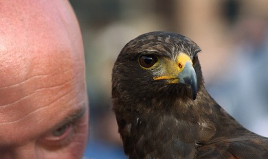 Violenza psicologica: tutte le caratteristiche