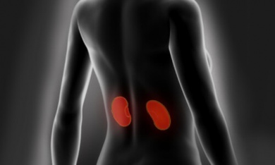 Consigli per curare e disintossicare i reni