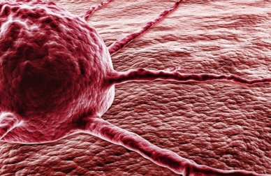 Il peperoncino: un miracolo contro il cancro