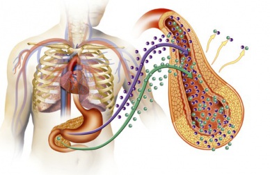 Cause del diabete di tipo 2, conoscerle per evitarlo