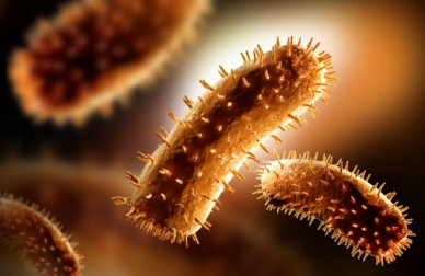 Rimedi naturali per aumentare le difese immunitarie