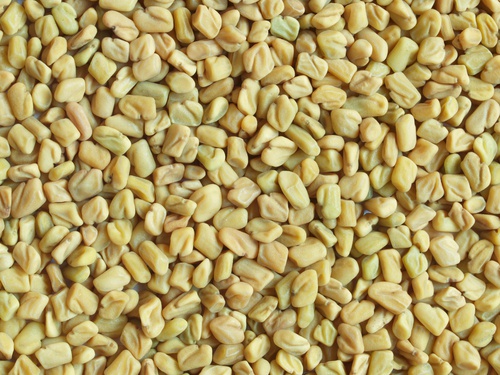 Fieno greco - rimedi naturali contro il colesterolo