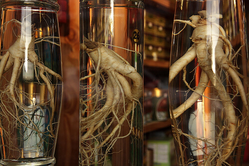 il ginseng rappresenta un ottimo rimedio naturale per aumentare le difese immunitarie