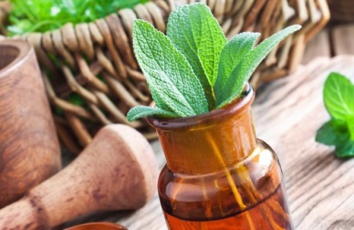 Erbe medicinali: ecco quali sono le migliori