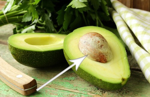 Proteggere il corpo con il seme dell’avocado Proteggere il corpo con il seme dell’avocado