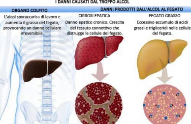 Gli effetti dell'alcol in eccesso sull'organismo