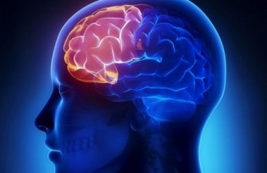 Frullati casalinghi per migliorare la memoria