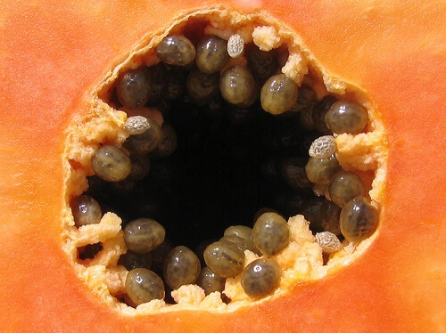 Un frullato di papaya è l'ideale per eliminare i parassiti