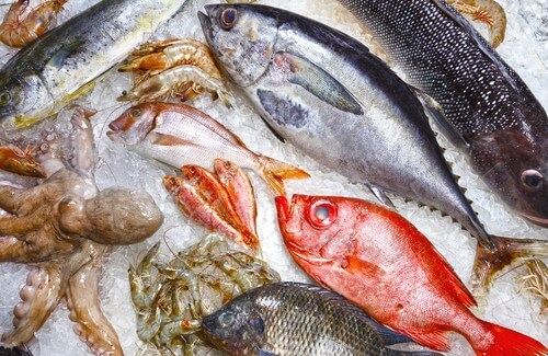 5 specie di pesci da evitare