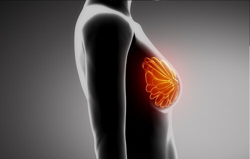 Portare il reggiseno non fa bene: cosa dice la scienza