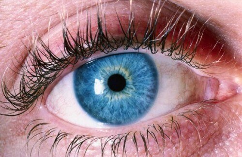 Diagnosticare l’Alzheimer dagli occhi