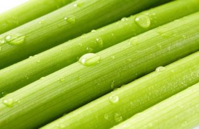 Dimagrire con il sedano