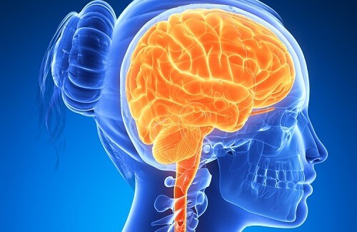 Mantenere il cervello attivo con l'aiuto di 6 alimenti