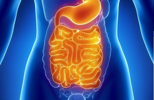 Gli alimenti ideali per pulire l’intestino Gli alimenti ideali per pulire l’intestino