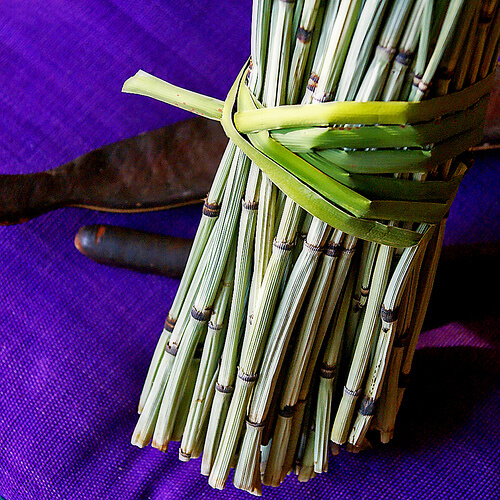 coda cavallina per eliminare l'eccesso di liquidi