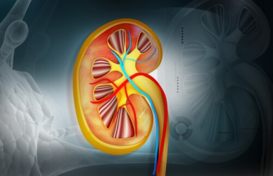 Alimenti diuretici che aiutano a pulire l'organismo