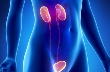 10 sintomi dell’insufficienza renale