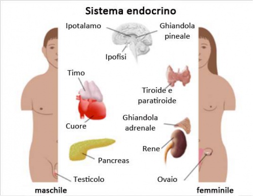 Problemi ormonali 