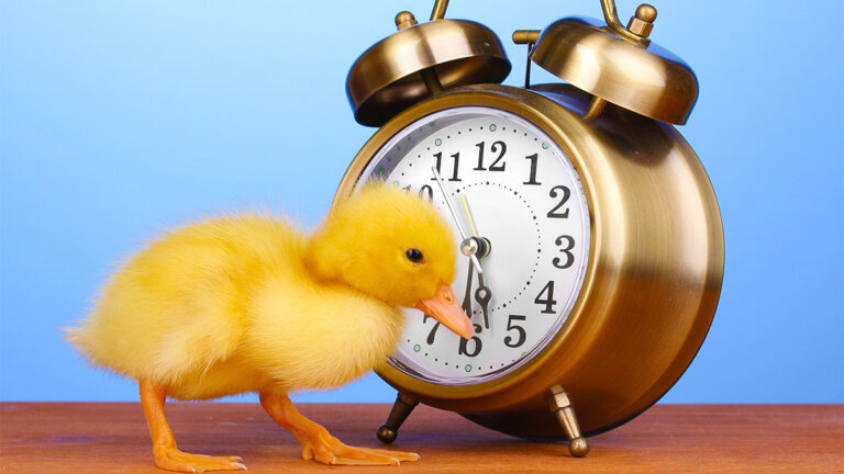 4 cose da fare nelle prime ore del giorno