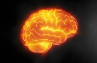 7 consigli per mantenere il cervello in forma