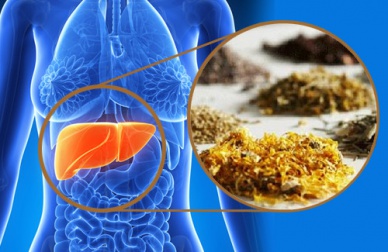 Pulire il fegato con le piante medicinali