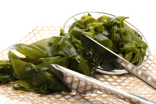 alghe in cucina