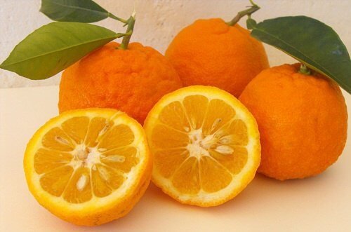 Il succo d'arancia aiuta a migliorare i problemi provocati dalla digestione
