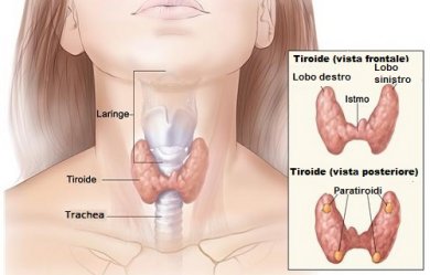 Come individuare in tempo i problemi di tiroide