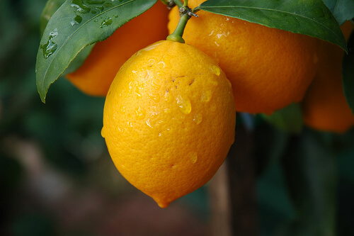 il limone neutralizza gli acidi e può essere un buon rimedio contro le occhiaie