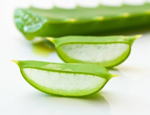 Aloe vera per mani morbite