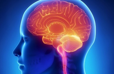 Salute del cervello: 11 abitudini che la danneggiano