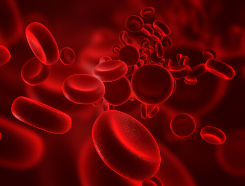 Sangue