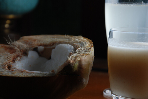 cocco