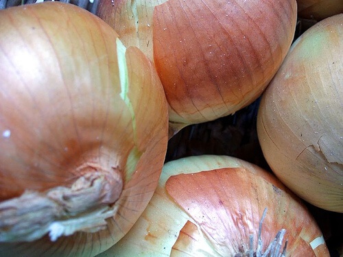 Cipolle intere