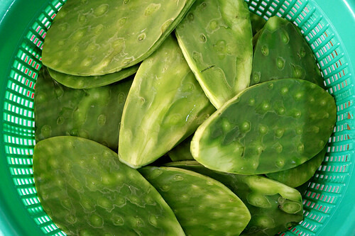 Foglie di nopal