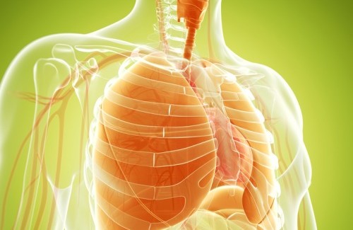 Pulire e rafforzare i polmoni: ecco alcuni rimedi naturali
