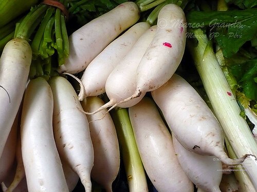 Ricette vegetariane: rape ripiene