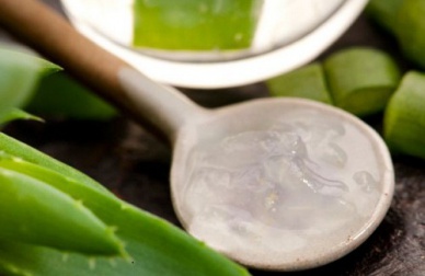 Rimedi per le vene varicose: crema aloe vera e aceto